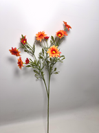 12-Bloom Daisy