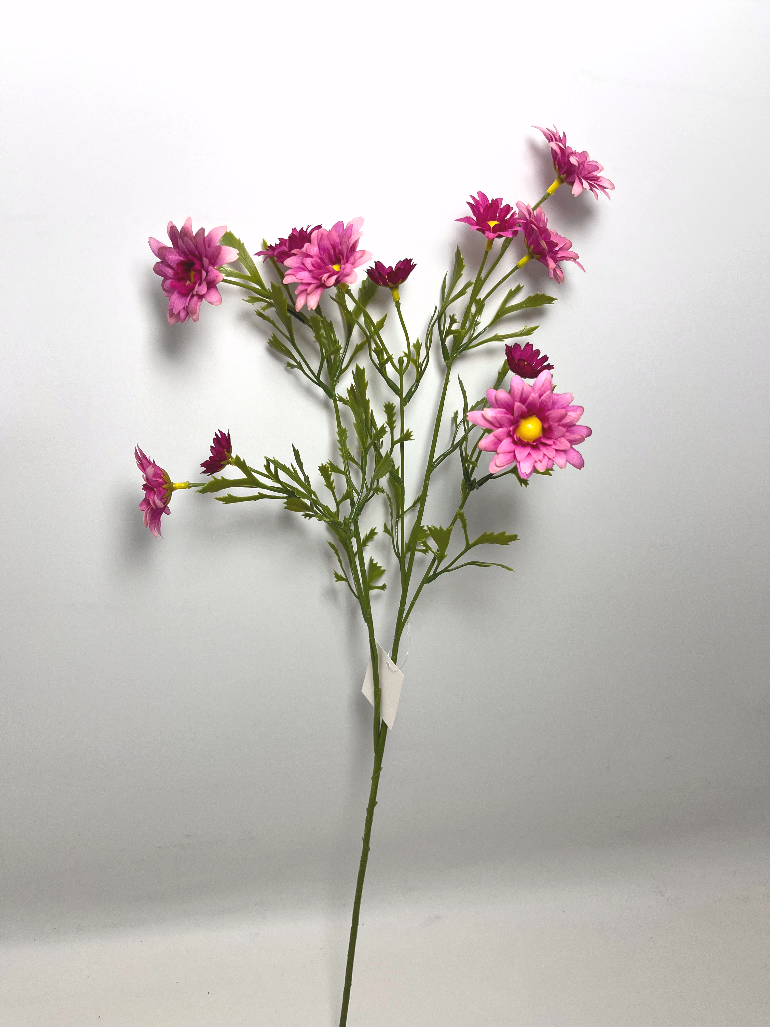 12-Bloom Daisy