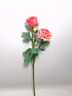 3-Bloom Ranunculus