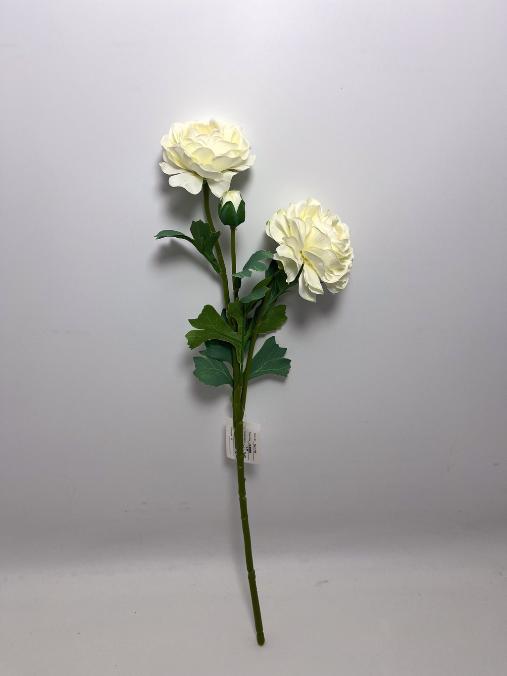 3-Bloom Ranunculus