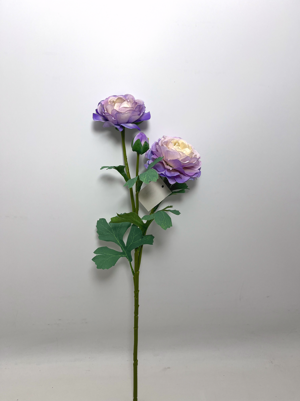 3-Bloom Ranunculus