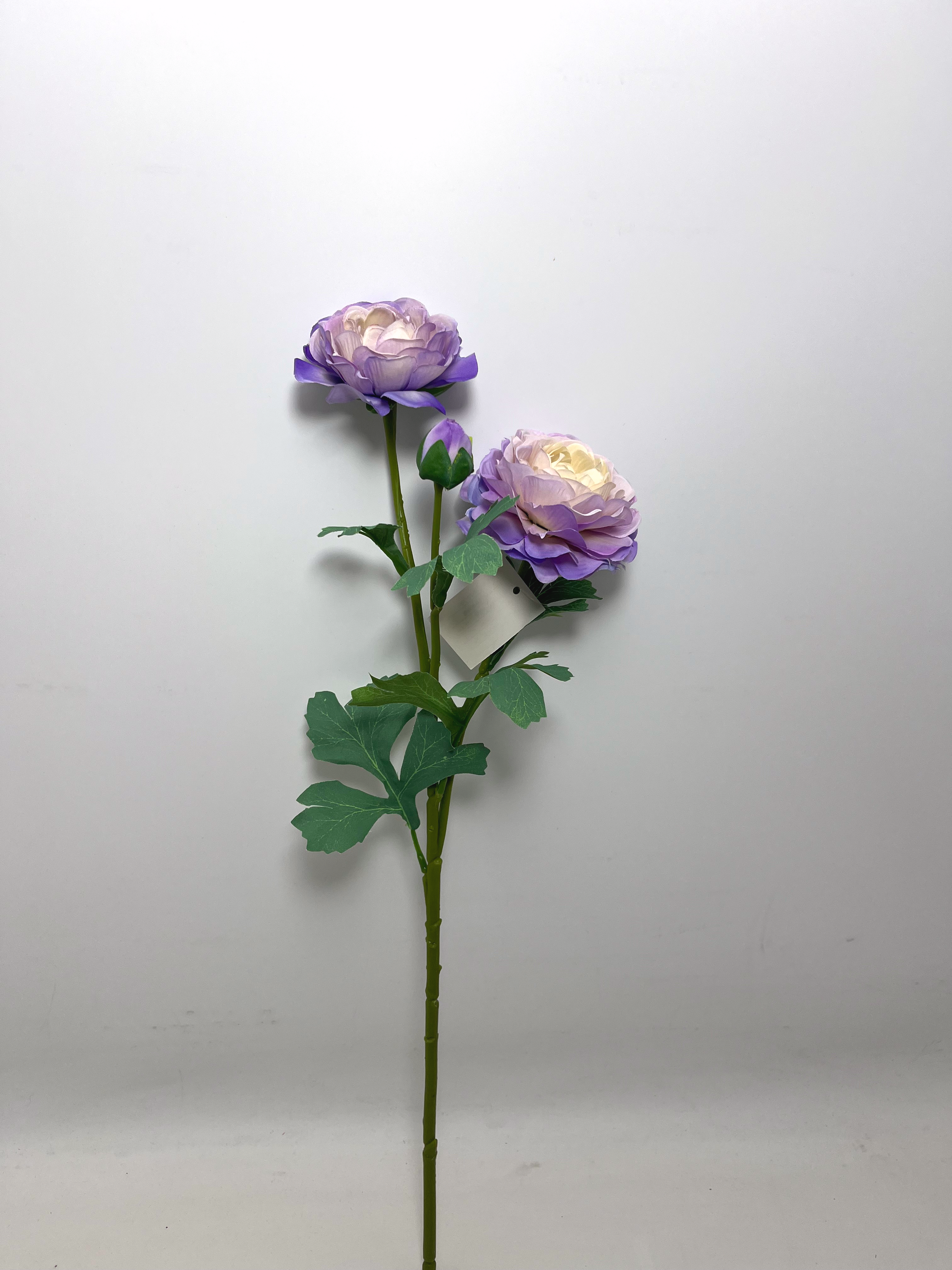 3-Bloom Ranunculus