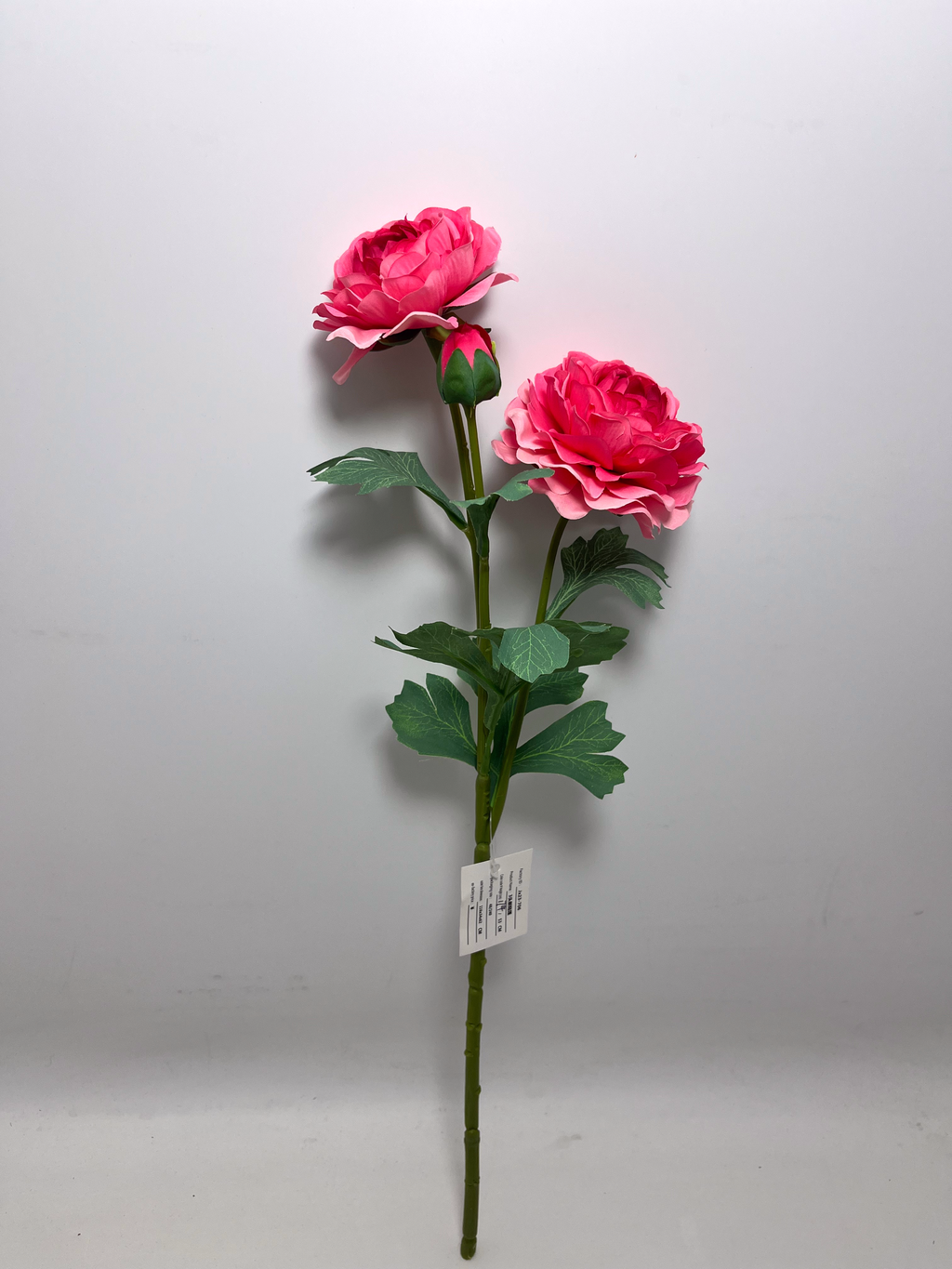 3-Bloom Ranunculus