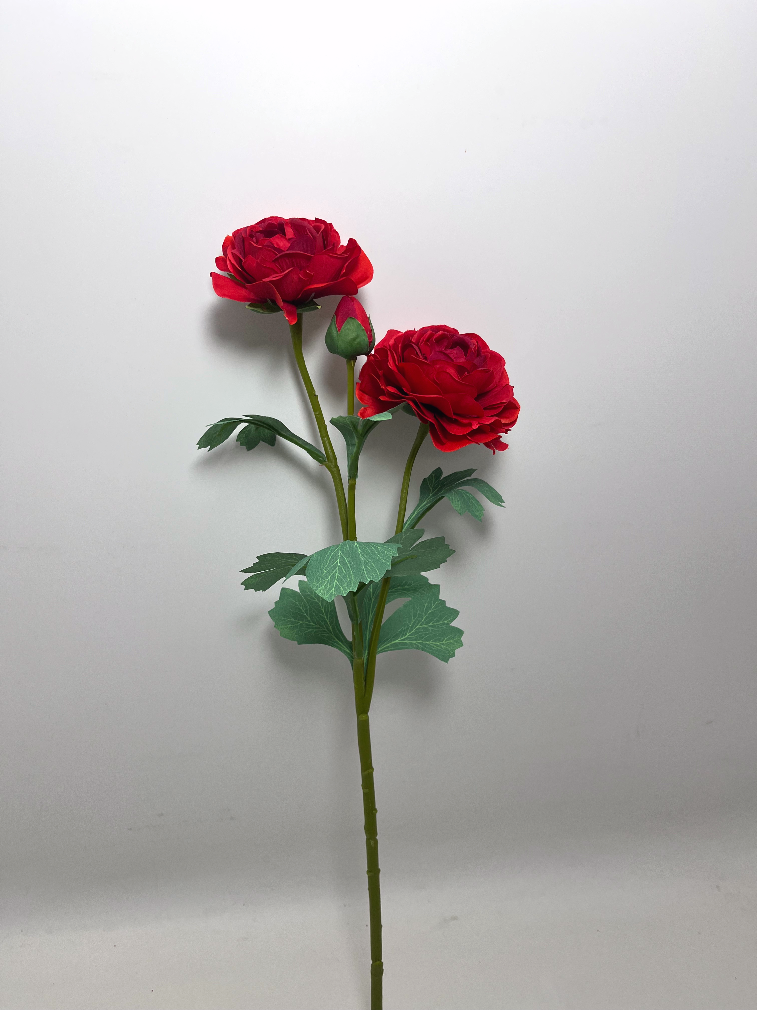 3-Bloom Ranunculus