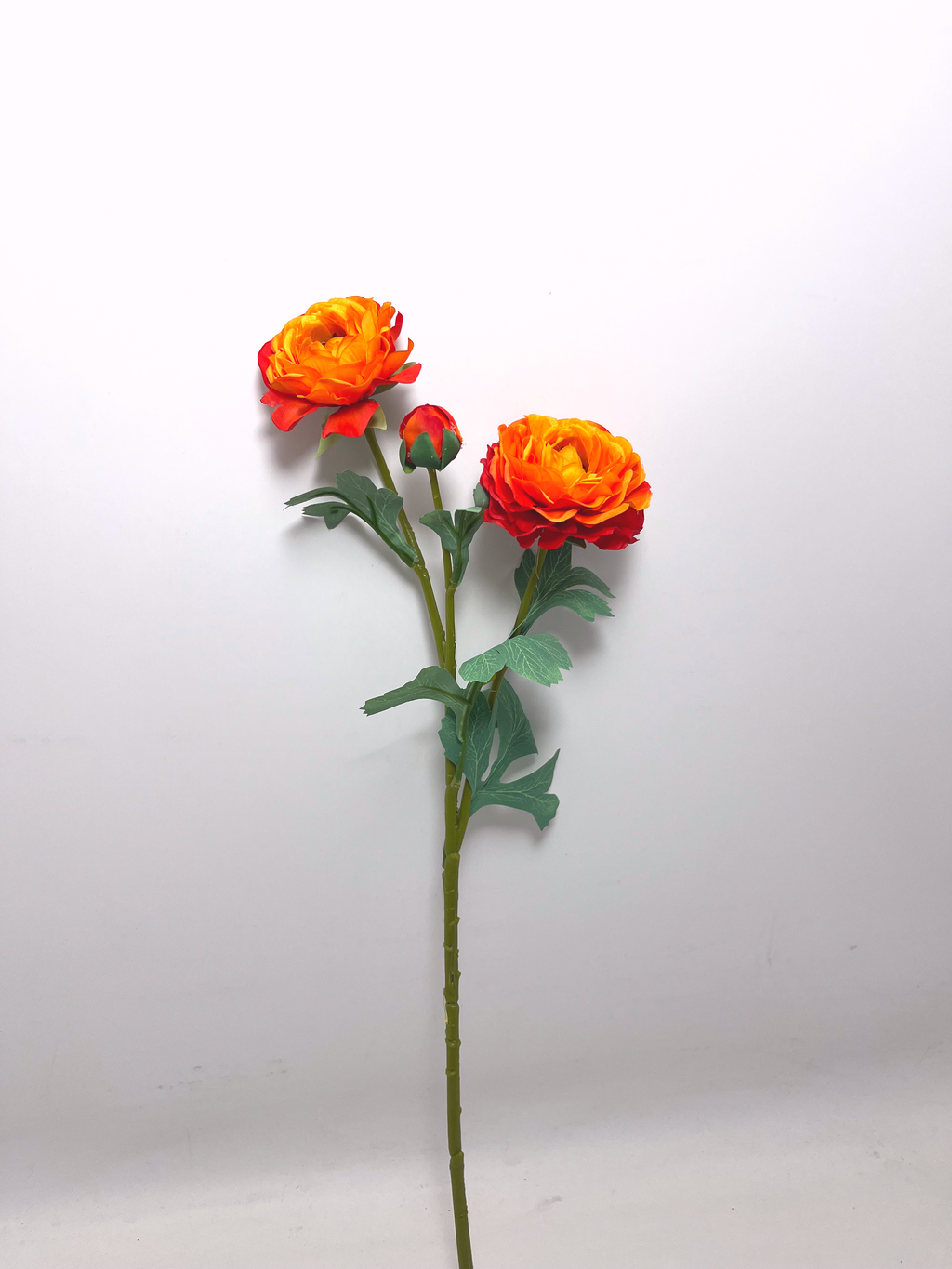 3-Bloom Ranunculus