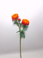 3-Bloom Ranunculus