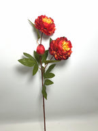 3-Bloom Peony