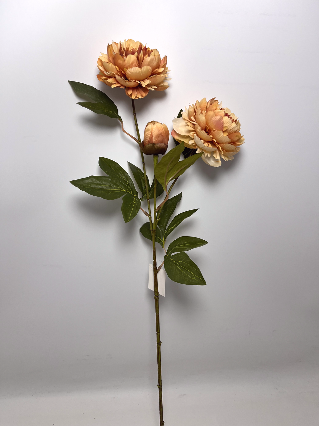 3-Bloom Peony