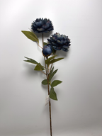 3-Bloom Peony