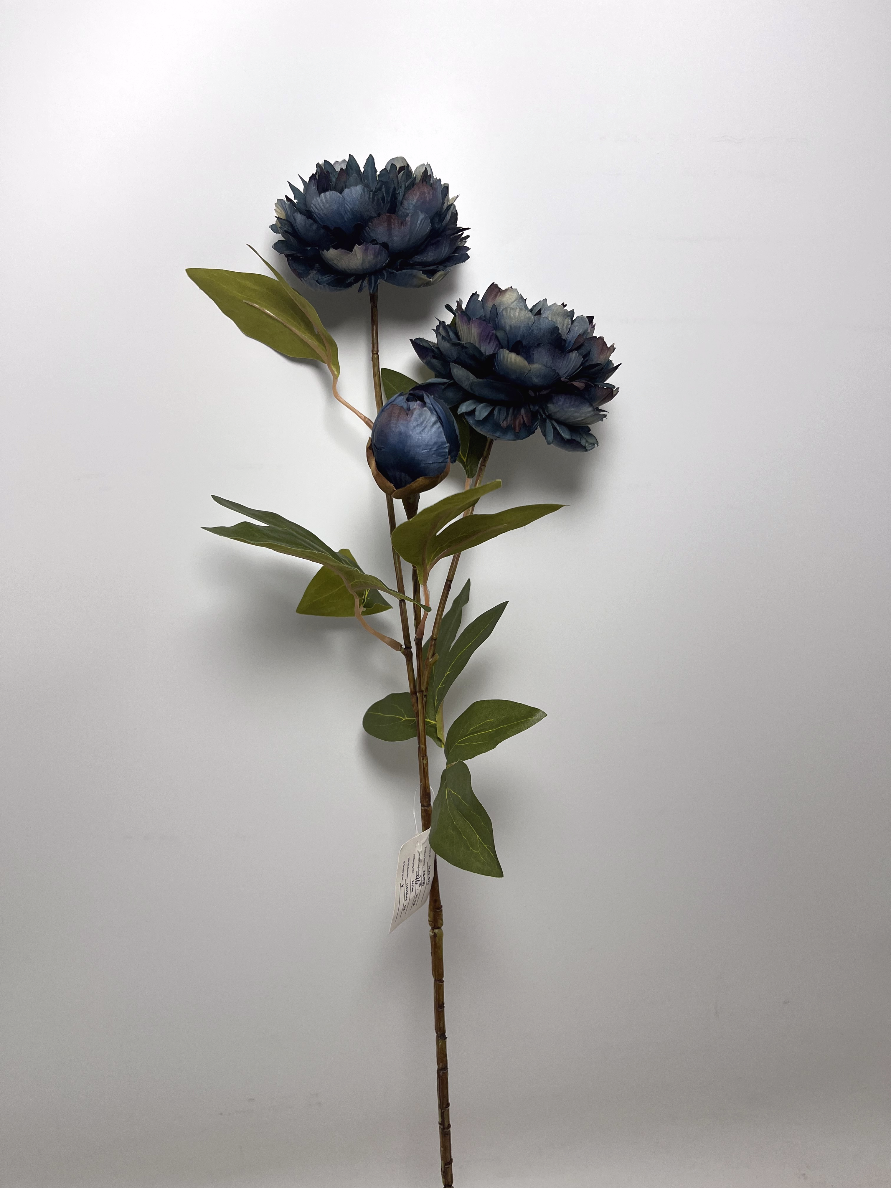 3-Bloom Peony