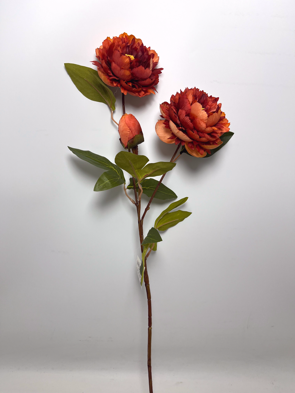 3-Bloom Peony