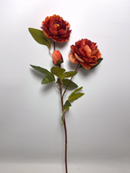 3-Bloom Peony