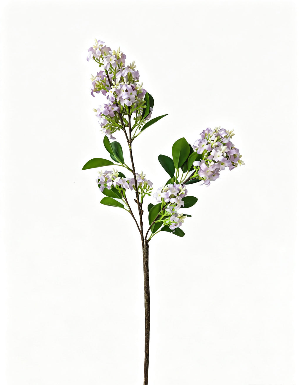 Artificial Lilac