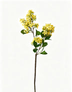 Artificial Lilac