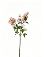 Artificial Lilac