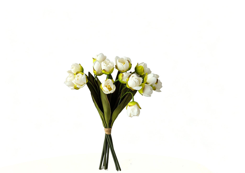24-Bloom Bundled Tulip