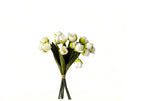 24-Bloom Bundled Tulip