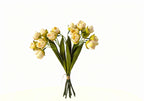 24-Bloom Bundled Tulip
