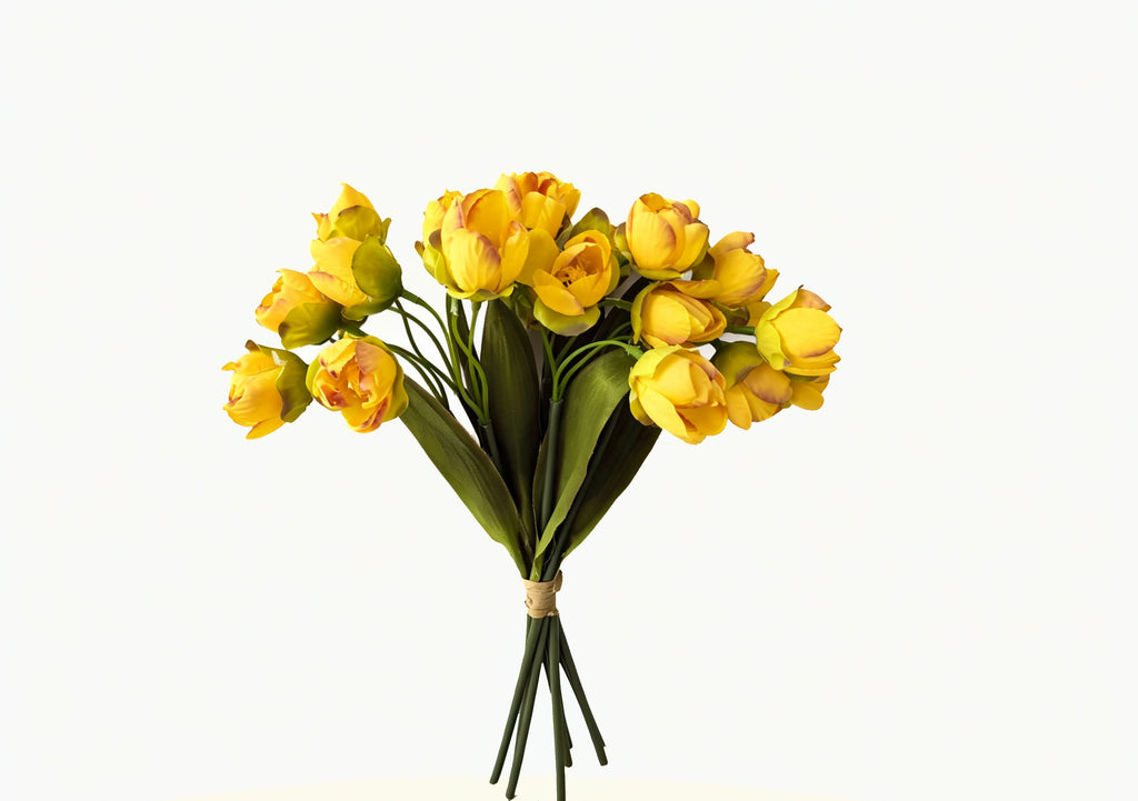 24-Bloom Bundled Tulip