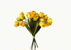 24-Bloom Bundled Tulip