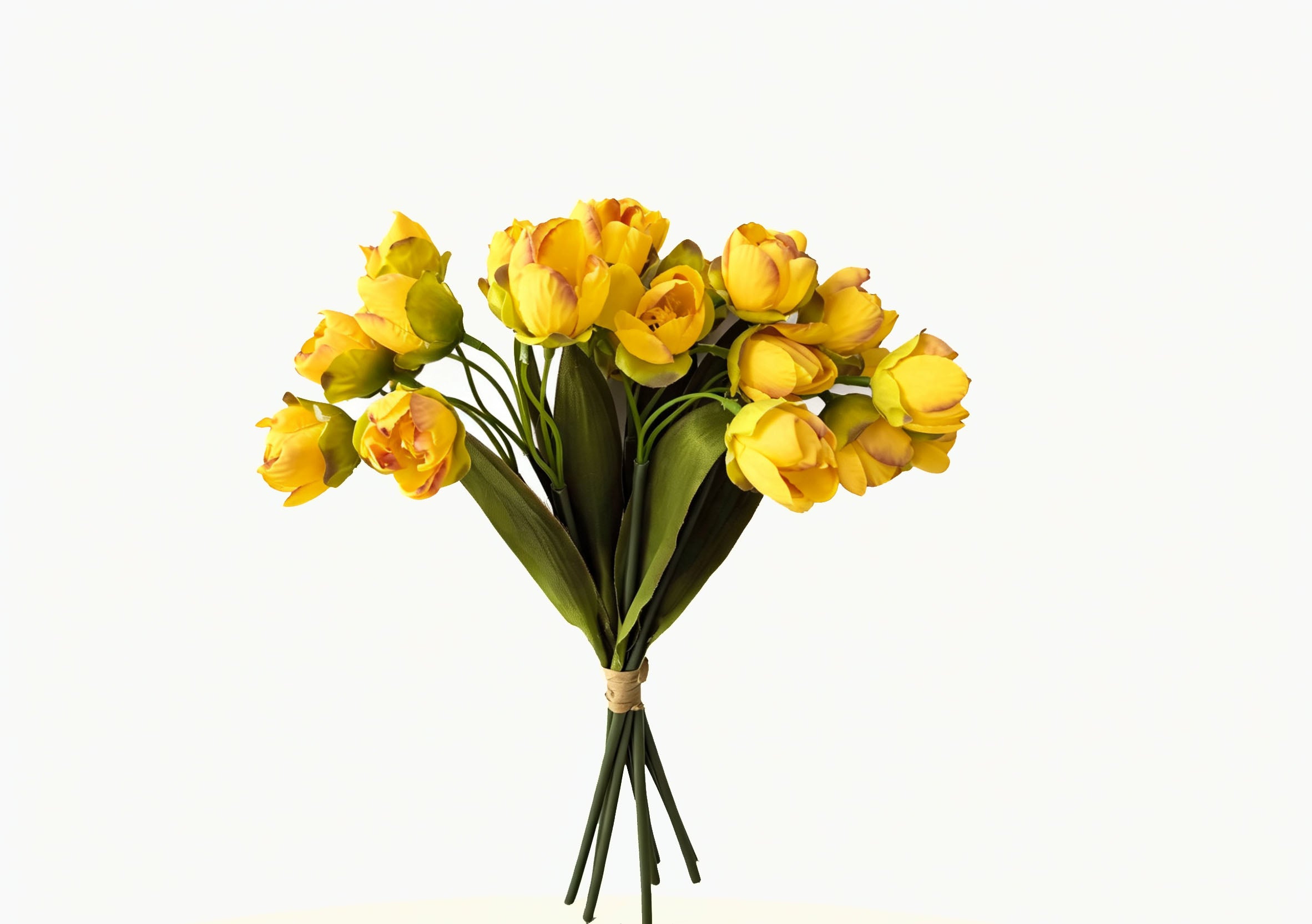 24-Bloom Bundled Tulip