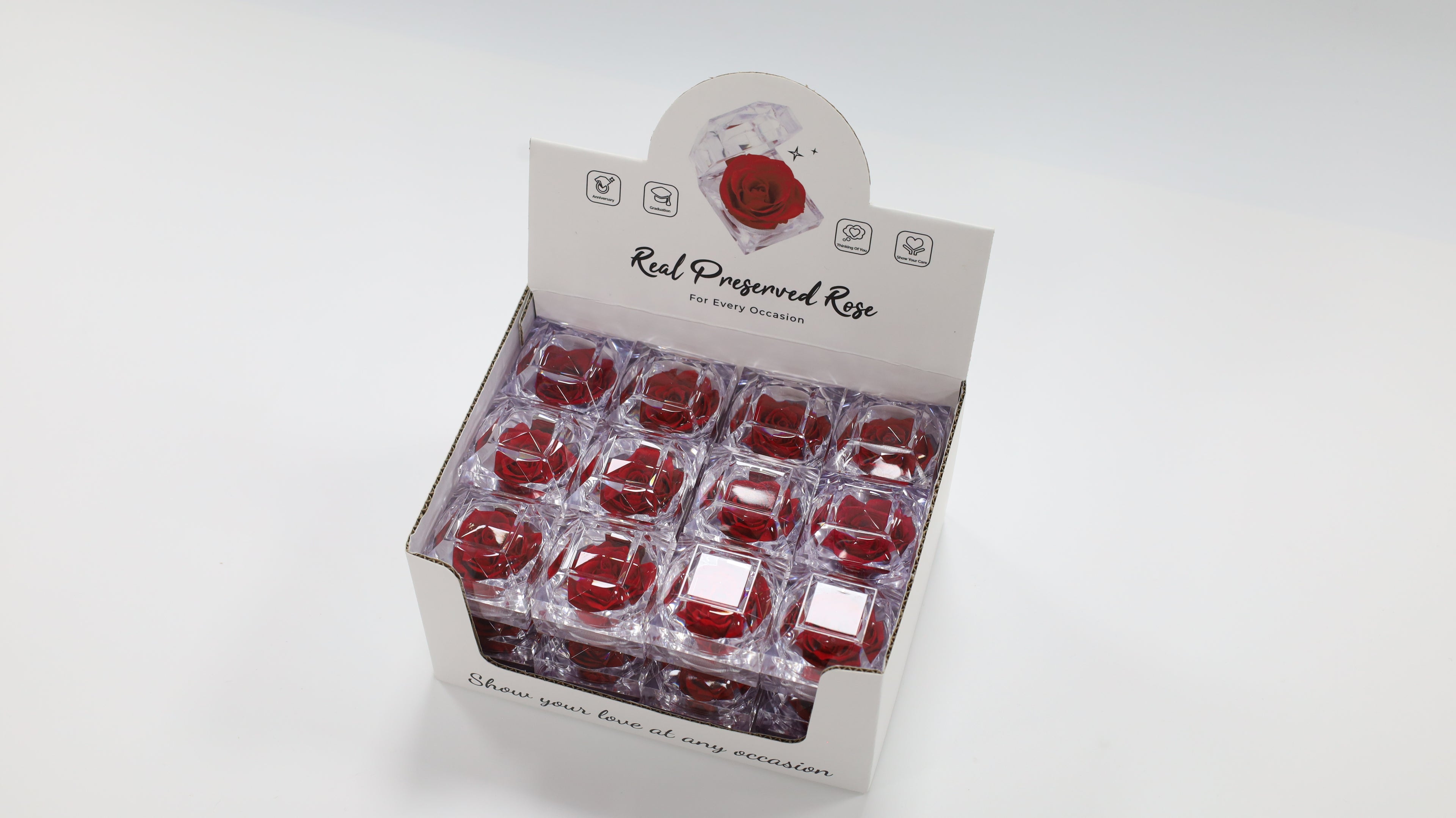 Gepreserveerde Roos in Acryl Ringdoos — Rood