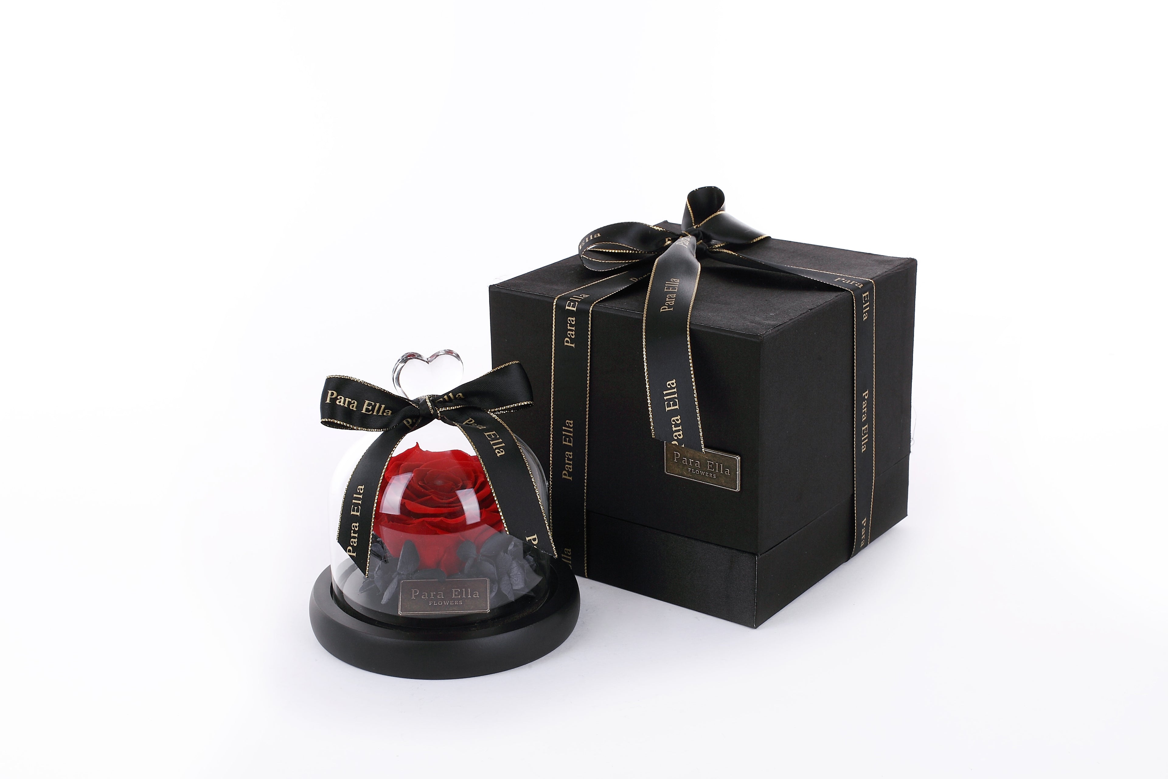 Geconserveerde roos 7-8 cm met glazen koepel — Rood